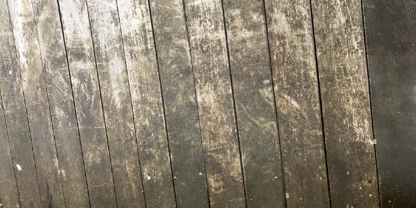 Find out how to clean a deck before staining and get your outdoor space ready for fall!