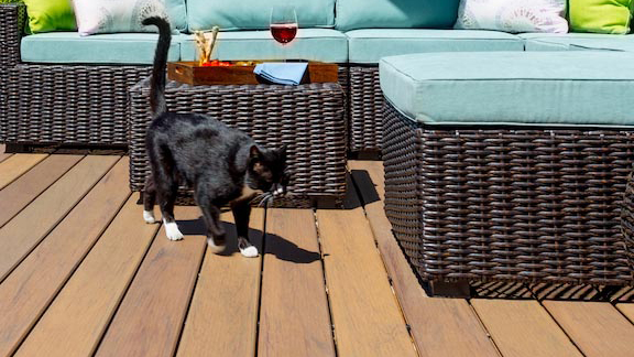 A cat walking across a composite deck made of scratch-resistant TimberTech decking