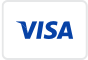 Visa Payments